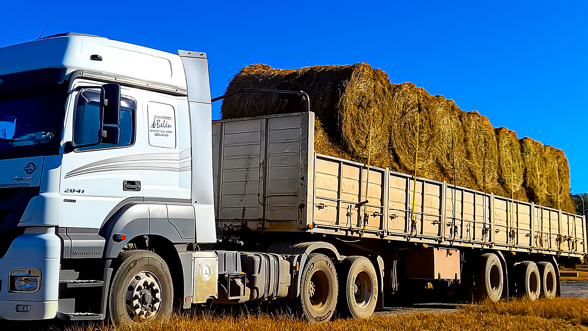 servicios de transporte en Córdoba y Argentina