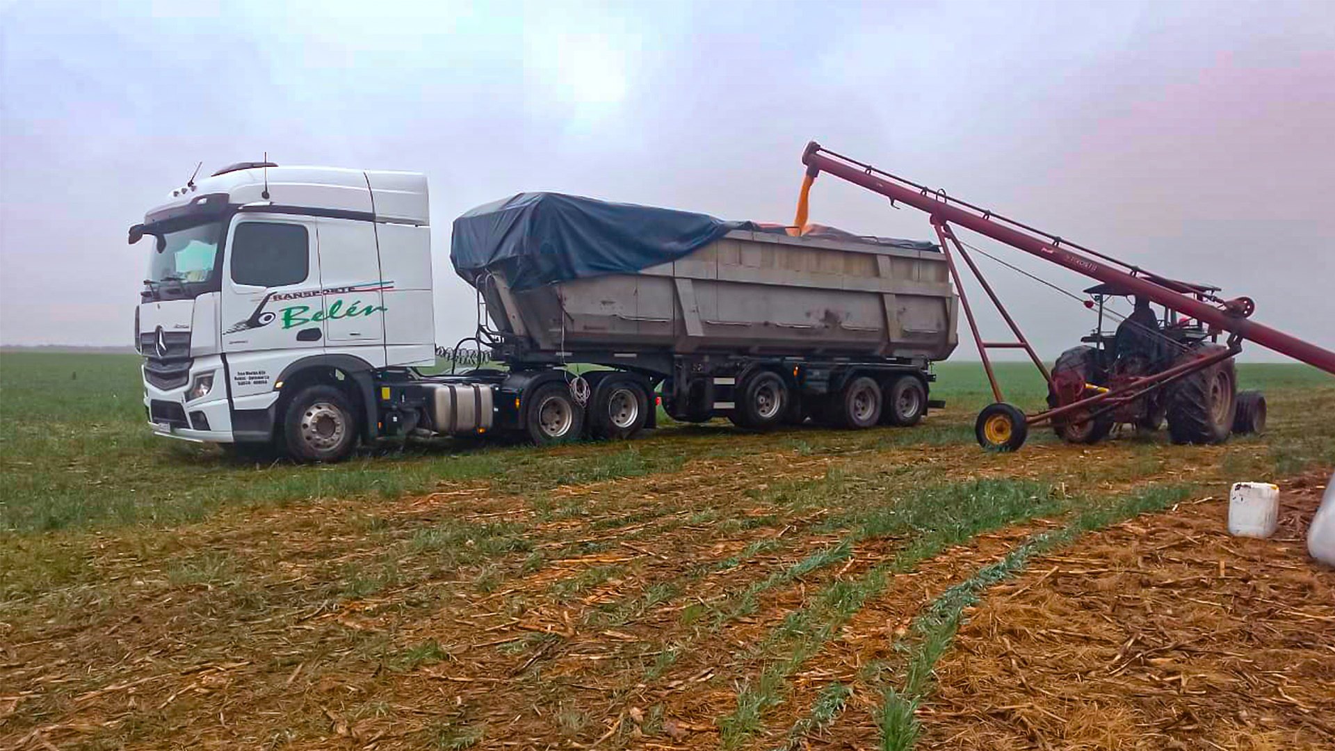 CARGANDO MAIZ A GRANEL TRANSPORTE BELEN SRL